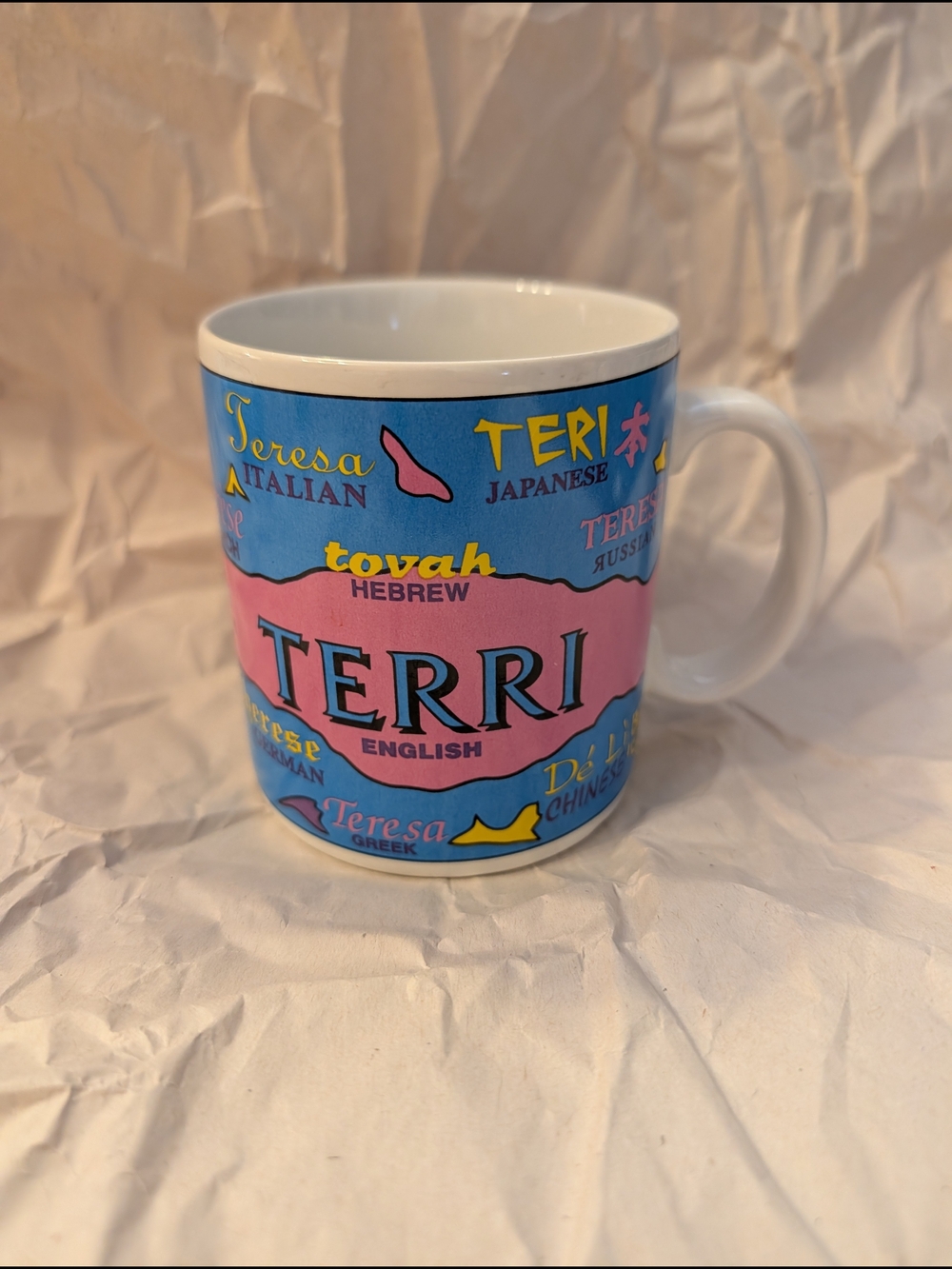 Vintage Language Name Mug: TERRI